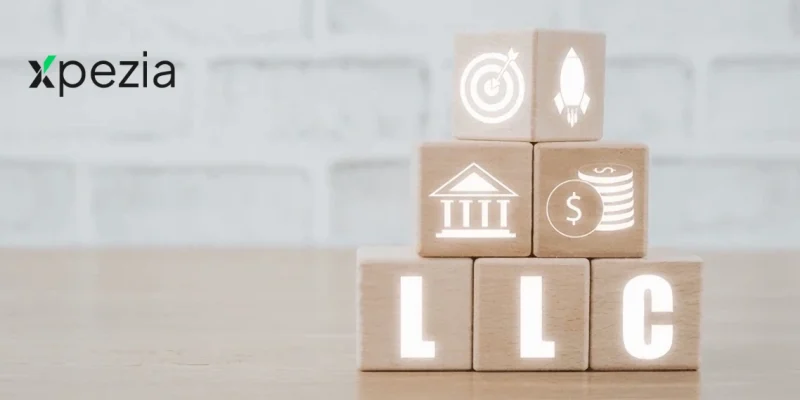 7 Easy Steps for Pakistanis to Start a US Company and Unlock Stripe-PayPal