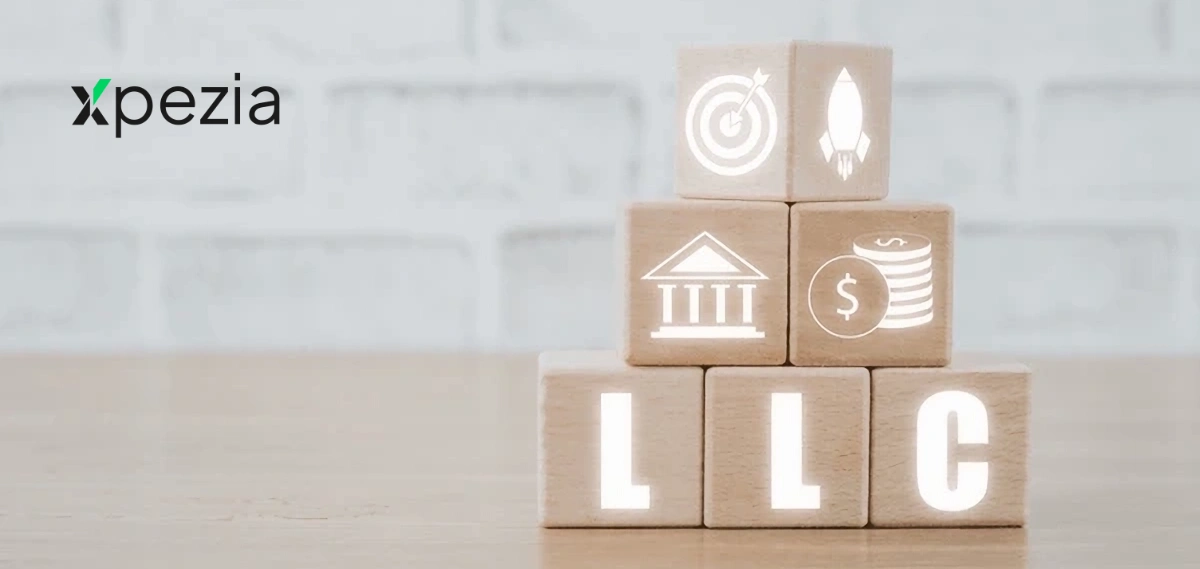 7 Easy Steps for Pakistanis to Start a US Company and Unlock Stripe-PayPal