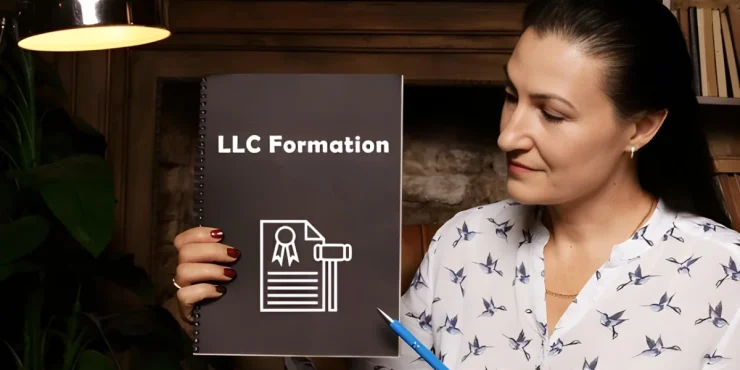 Guide to U.S. LLC Formation