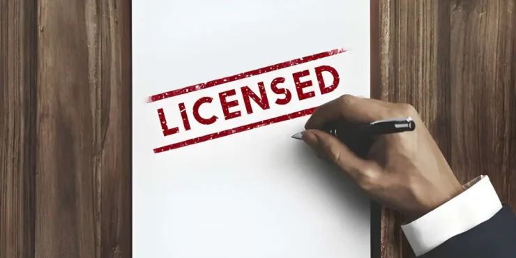 Why Your US LLC Is Approved But You Still Can't Do Business (2026 Reality for Pakistani Founders)
